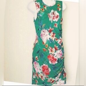 Mesh XS Sexy Dress Romantic Large Floral Scale Sleeveless Green Pink Size NWT